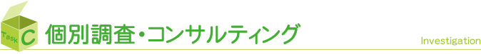 TaskC 個別調査/コンサルティング ： 